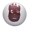 Voleibol Wilson AVP Castaway