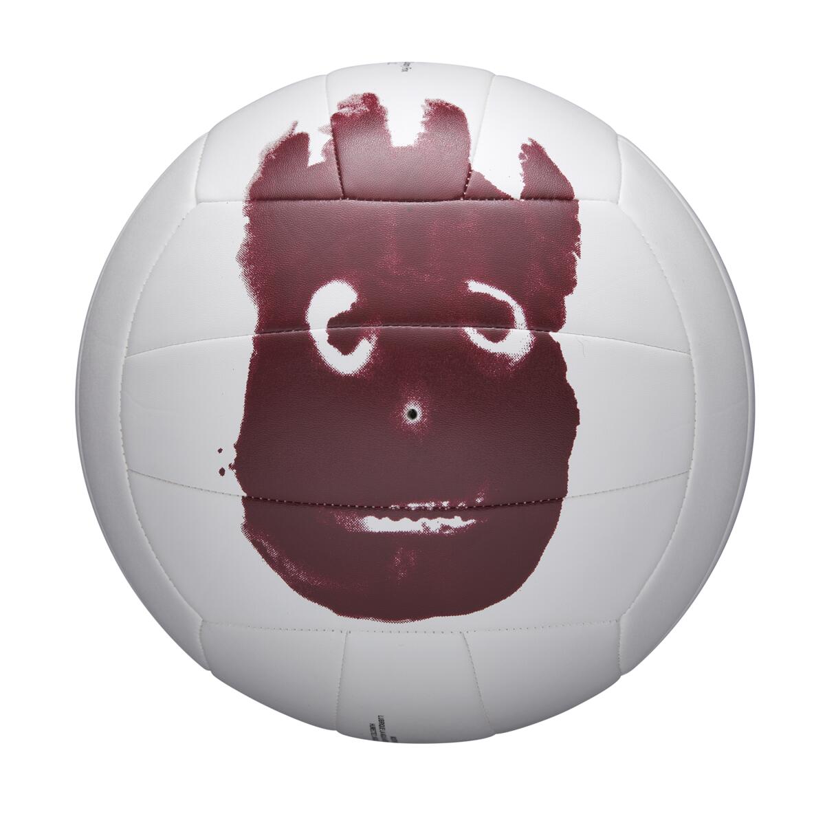 Voleibol Wilson AVP Castaway