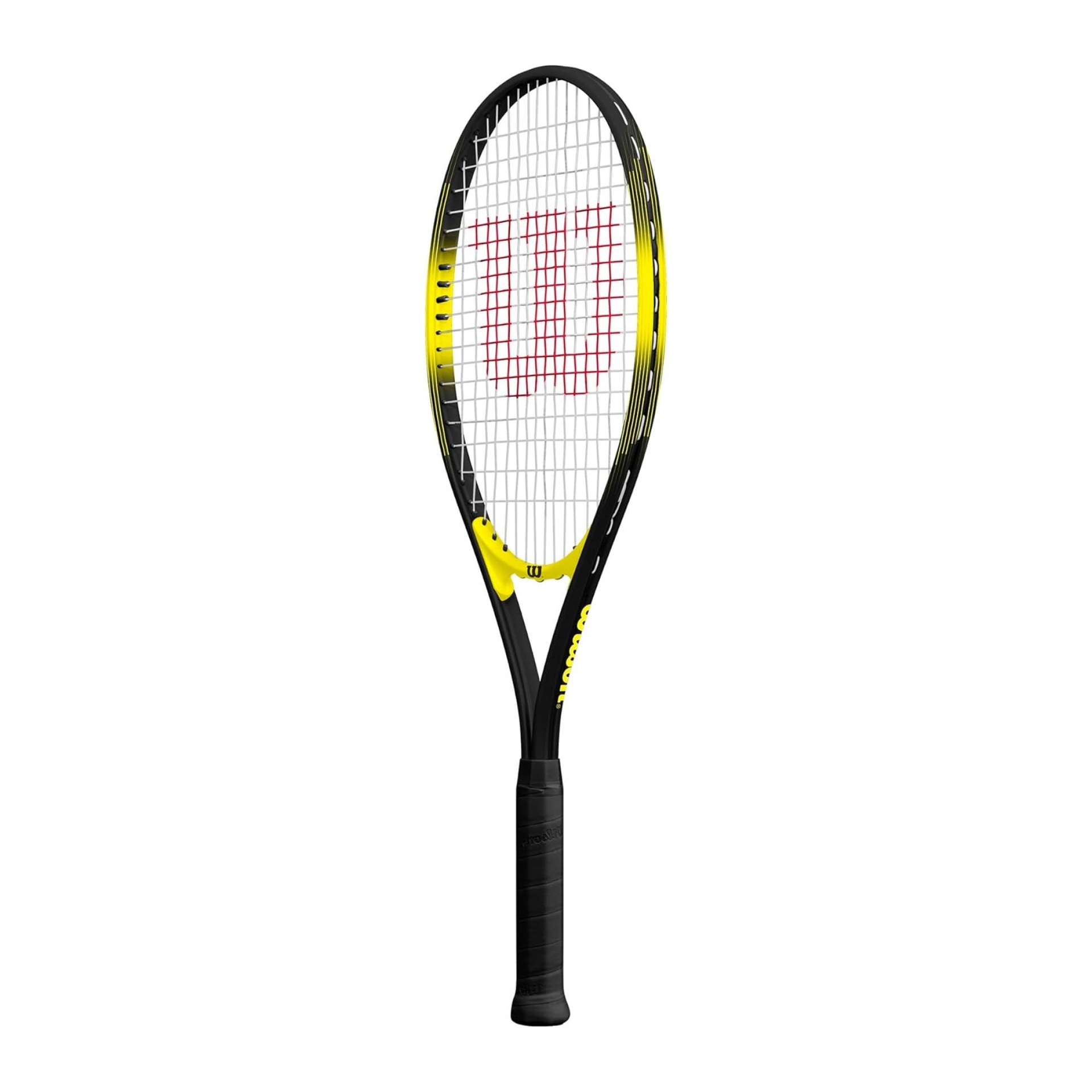 d9679ae9da486c94f59b8fc9a6d22e62