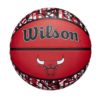 NBA Graffiti Chicago Bulls