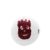 Wilson